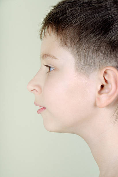 istock Portrait of a boy in profile 146953530