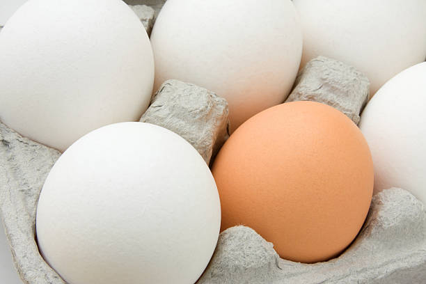 istock Fresh Eggs In A Carton Close-up 146953604
