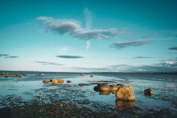 istock Rocks on the Beach in Campbell River, Vancouver Island, BC, Canada 1469536732