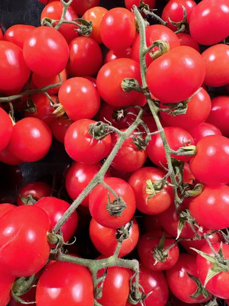 istock Red cherry tomatoes in the market. 1469536835