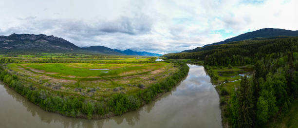 istock Columbia River wetlands 1469537899