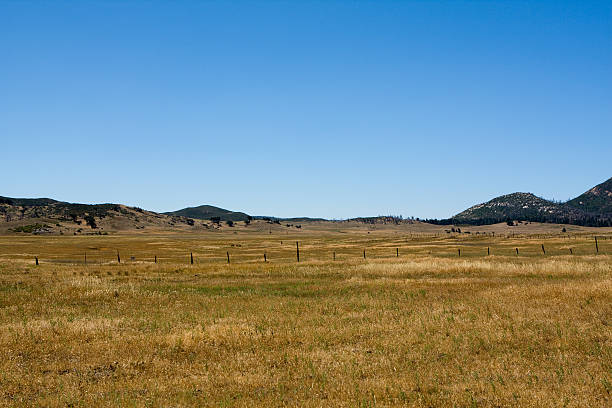 istock Golden Fields and Fences 146953817