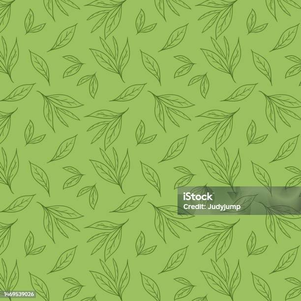 Matcha Green Pattern Green Tea Pattern Wallpaper Green Tea Doodle Vector Matcha Pattern ...