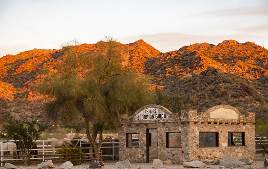 An old abandoned derelict house in the desert sand with blue skies. There are a couple hardy desert plants growing around the house.