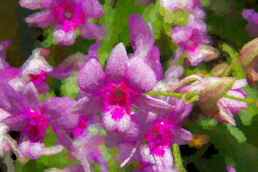 Abstracted photo of flowers