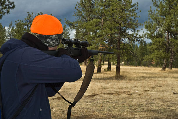 istock Hunter aiming a rifle into the woods 146954457