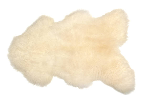 istock White sheep skin isolated on white background 1469544635