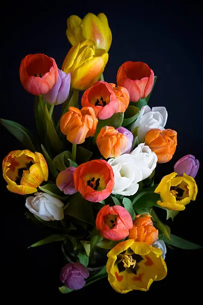 Photo of Tulips bouquet