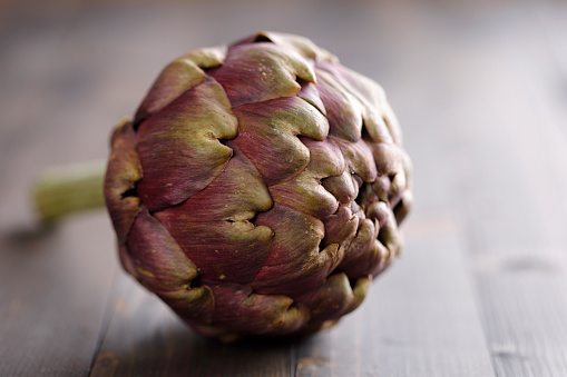 Close up of purple artichoke with copy space