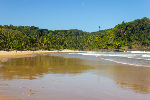Forest and  waves at Prainha beach, Itacare, Bahia, Brazil