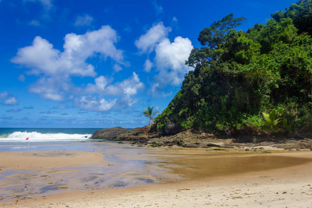 istock Forest and  waves at Sao Jose beach 1469556546