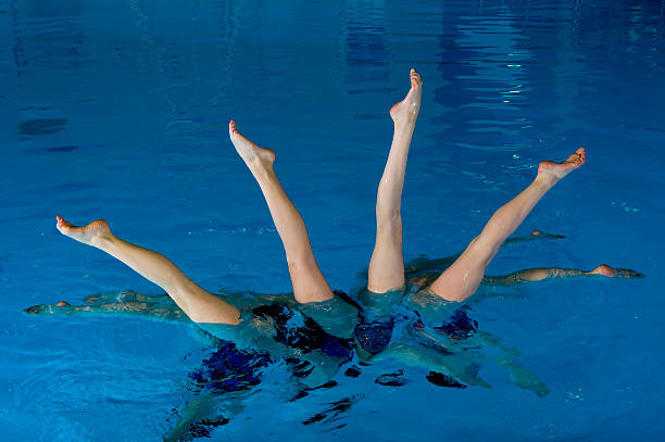 istock Four Legs In The Air 146956000