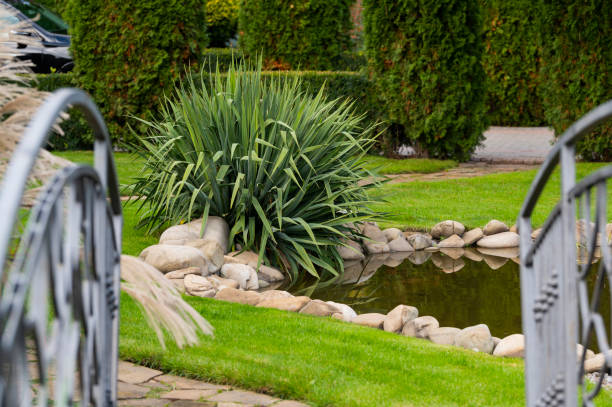 Artificial reservoir with stones and green spaces in landscape design