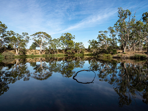 River reflections early morning on the Wimmera River in rural Victoria