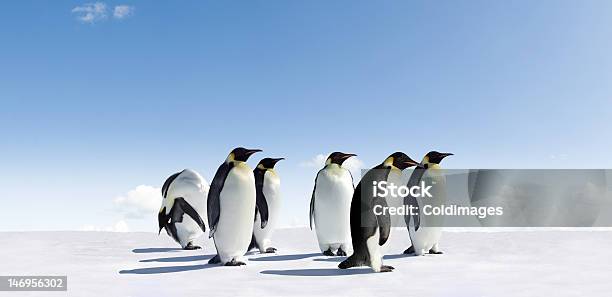 Photo libre de droit de Empereurs Penguins banque d'images et plus d'images libres de droit de Manchot empereur - Manchot empereur, Animaux à l'état sauvage, Antarctique