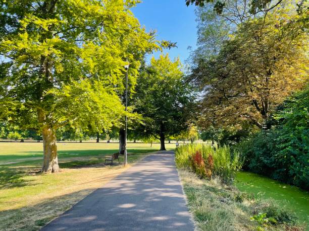istock Summer walk - stock photo 1469566375