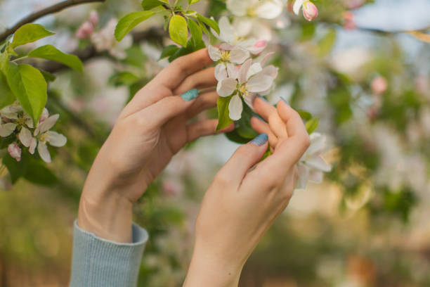 Spring nature