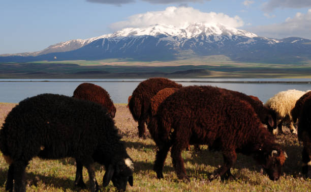 istock Suphan Mountain and Sodali Lake - Adilcevaz 1469580320