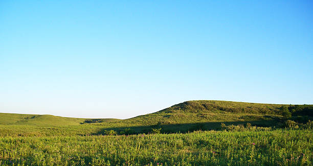 Green field stock photo