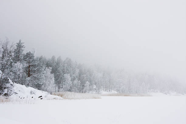 istock Winter morning on forest lake 146959616