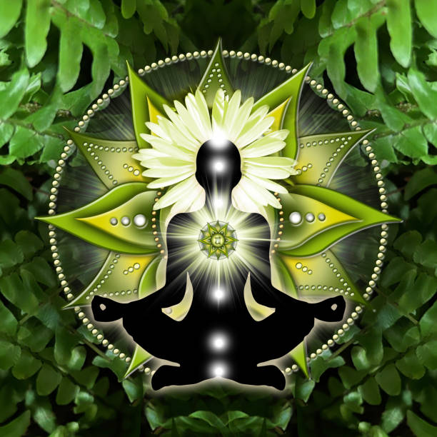 ilustrações, clipart, desenhos animados e ícones de meditação do chakra do coração na pose de lótus de yoga, na frente do símbolo do chakra anahata e samambaias verdes calmantes - om symbol lotus hinduism symbol