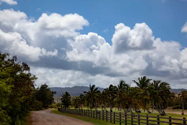 Hawaiian Aina on the North Shore Oahu