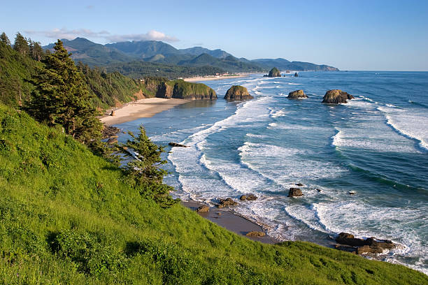 cannon beach, oregon - oregon beach photos et images de collection