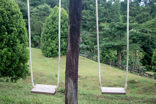 two swings with white ropes on a log