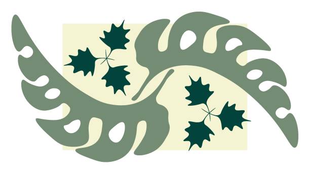 istock Abstract flower Trendy botanical wall arts Collection of different flowers style. Vector illustration isolated on a white background.Abstract minimal, floral element ,vintage 70s style flower,Colorful pastel ,color y2k nature. 1469602552