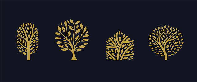 Tree symbols, icons design. Nature, trees illustration, logo concept. Luxury, modern and minimalistic style. Vector illustration