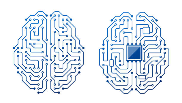 ilustrações de stock, clip art, desenhos animados e ícones de brain circuit, intricate network of neurons connected by synapses, forming pathways for information processing - synapse computer chip communication abstract