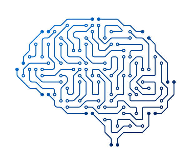 ilustrações de stock, clip art, desenhos animados e ícones de brain circuit with intricate network of neurons connected by synapses. complex cerebellar system vector illustration - axon