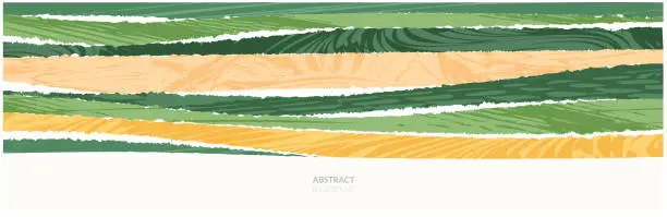 Vector illustration of Rice field collage pattern or abstract agriculture vector background with texture. Stripe japan farmland, green ecology design. Rural farm, Thailand countryside, agro illustration. Eco vineyard banner