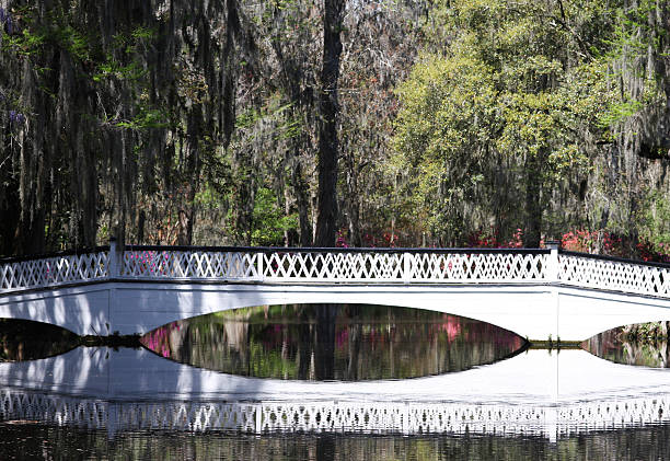 istock Plantation bridge South Carolina 146960468