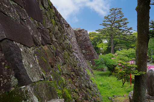 Kochi,Japan – April,28 2014:This is the wall of a Japanese castle. Kochi Castle in Kochi City.Built in 1601.
The stones for the castle walls are piled up by a method called Nozurazumi.
Nozurazumi is a method of stacking natural stones and split stones as they are without processing.Fill the gaps between the stones with small stones.
Nozurazumi stone walls are strong, and the gaps disperse the pressure caused by tremors, making them strong against earthquakes.
It has survived countless crises such as fires, earthquakes, the nationwide abandonment of castles due to the Meiji Restoration, and the Pacific War, and it still stands today.