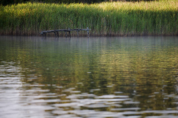 istock Wooden structure in the river shallows 146960937