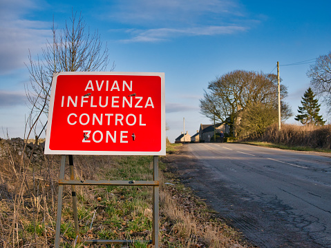 A red warning sign at the side of a road warns that the reader is entering an avian flu control zone. Taken in winter sunshine with a blue sky in Derbyshire, UK.