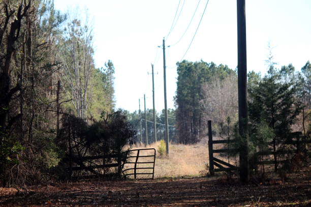 Rural Gate with Power Lines stock photo