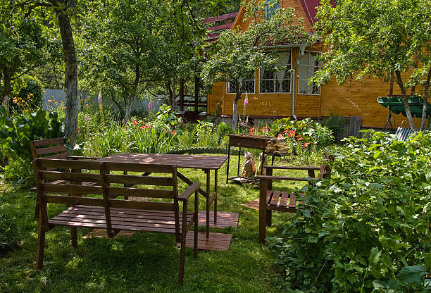 garden - chair grass flower bed nobody 뉴스 사진 이미지