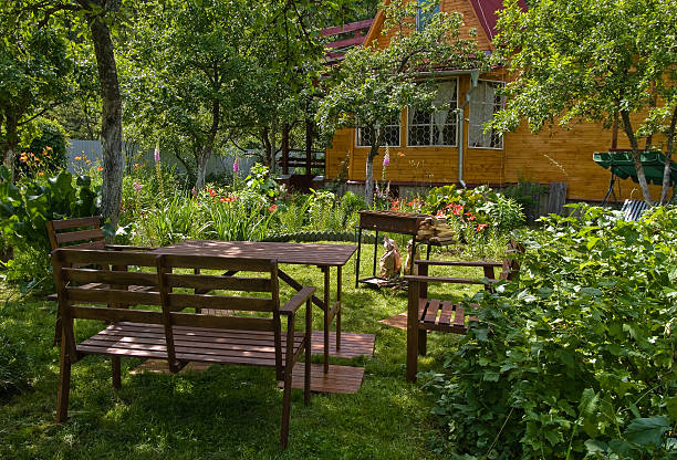 ogród - chair grass flower bed nobody zdjęcia i obrazy z banku zdjęć