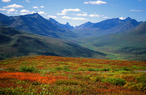 View of the Tombstone Mountains from the Dempster highway in northern Yukon in September as the tundra becomes very colorful.