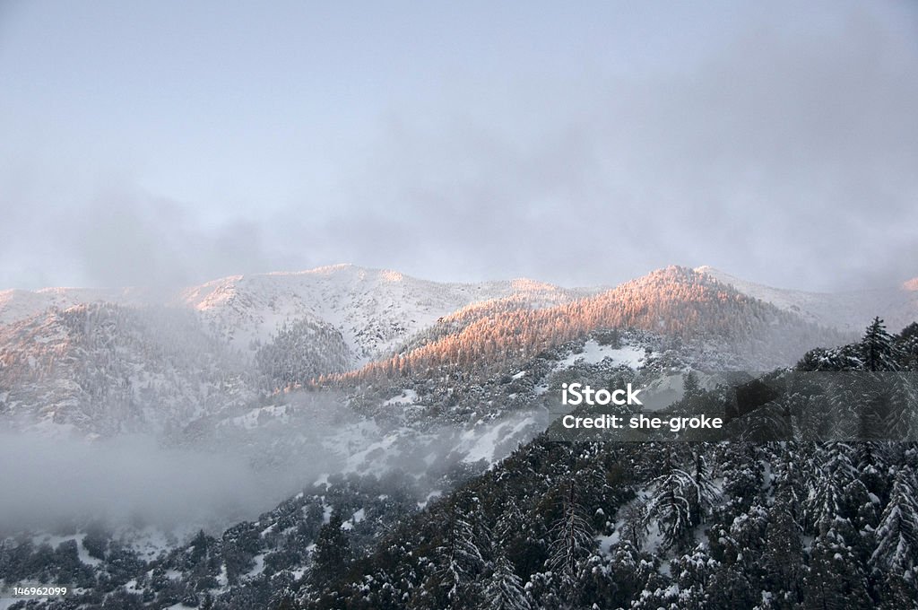 snowy mountain tops - Lizenzfrei Baum Stock-Foto