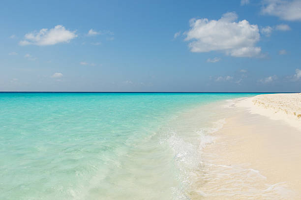 istock tropical beach, los roques islands, venezuela 146962241