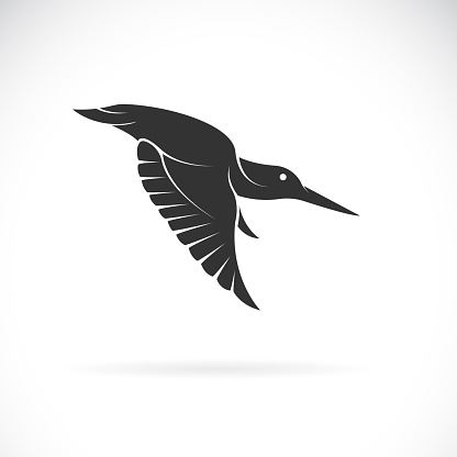 Vector of kingfisher design on white background. Easy editable layered vector illustration. Bird. Wild animals.