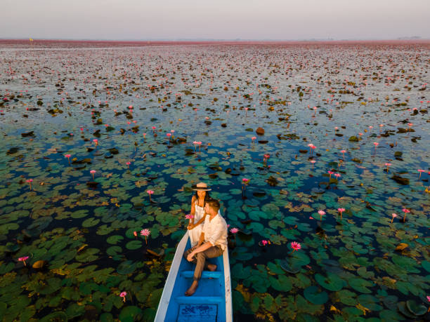 Couple in a boat at the Red Lotus Sea Kumphawapi full of pink flowers in Udon Thani Thailand. Couple in a wooden boat at the Beautiful Red Lotus Sea Kumphawapi is full of pink flowers in Udon Thani in northern Thailand. Flora of Southeast Asia. udon thani stock pictures, royalty-free photos & images