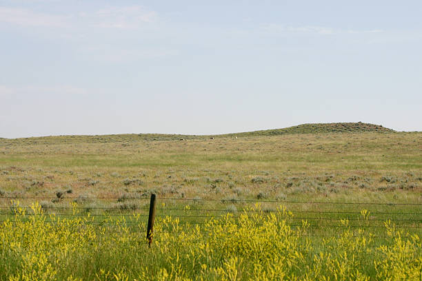 Vast wilderness in Western United States stock photo