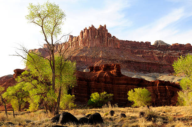 istock Capitol Reef National Park 146962622