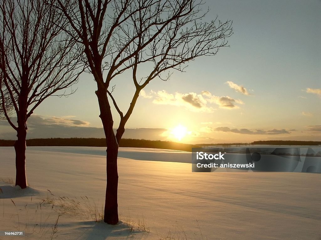 아름다운 겨울맞이 해질녘까지 - 로열티 프리 12월 스톡 사진