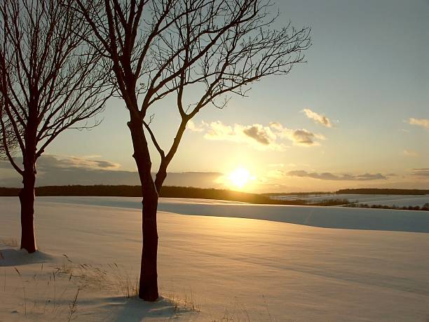 istock Picturesque winter sunset 146962731