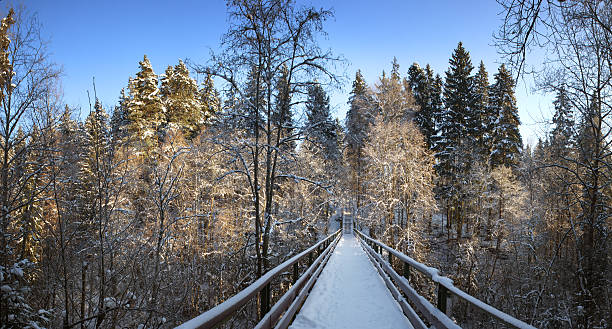istock Snow covered footbridge. Panorama. 146962867